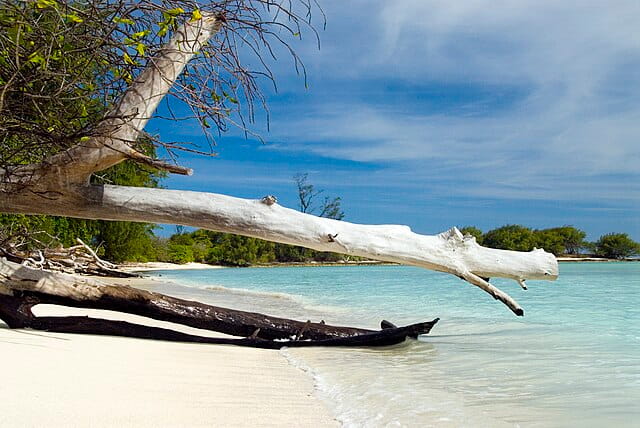 Desroches Island