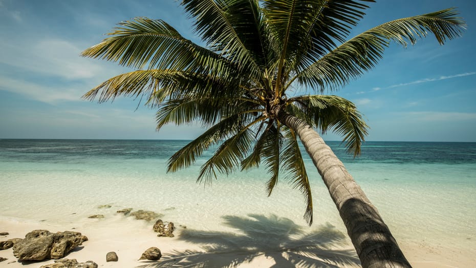 Descubre la Perla de las Islas Seychelles