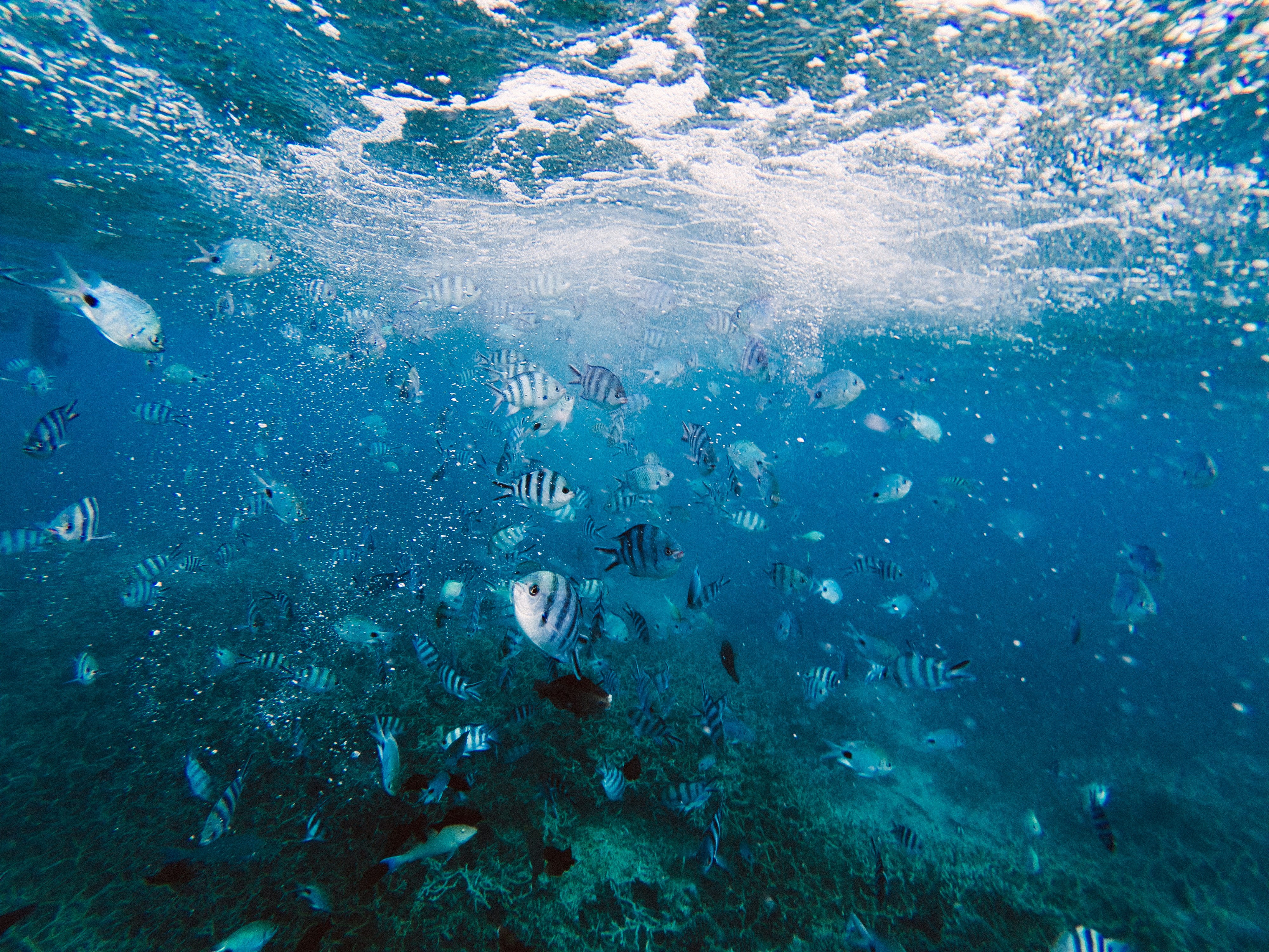 Isla Mauricio
