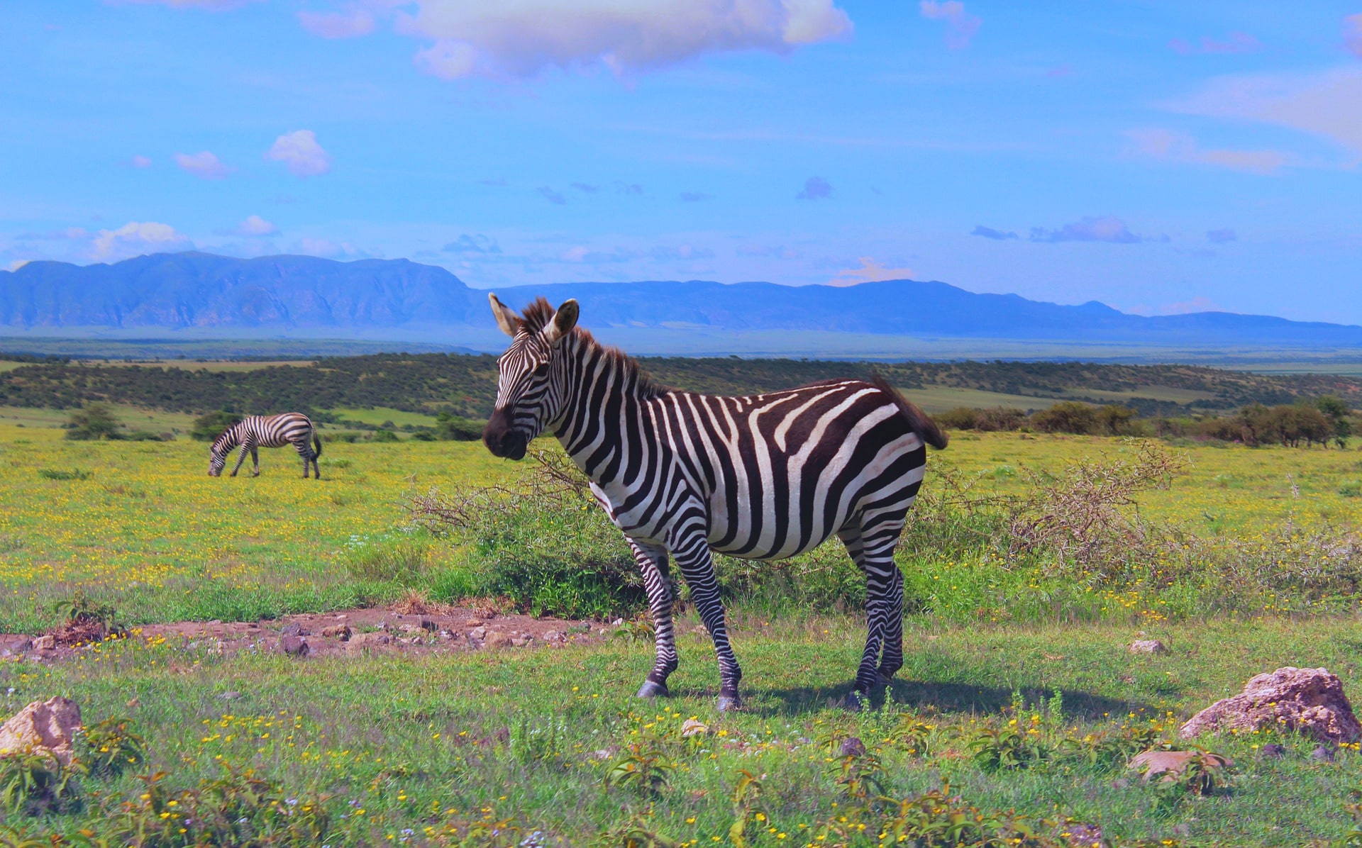 Arusha / Ngorongoro