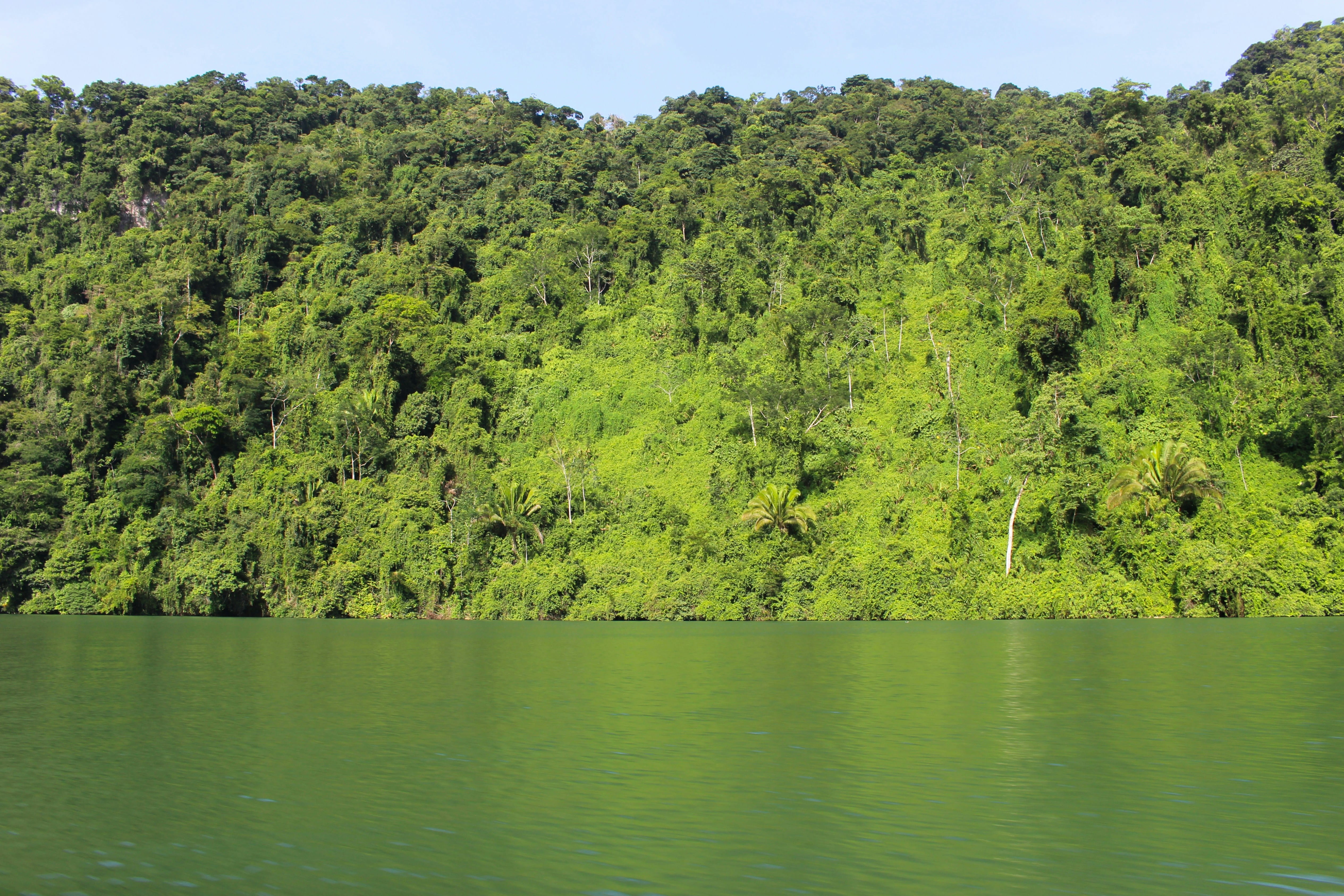 Copán / Rio Dulce
