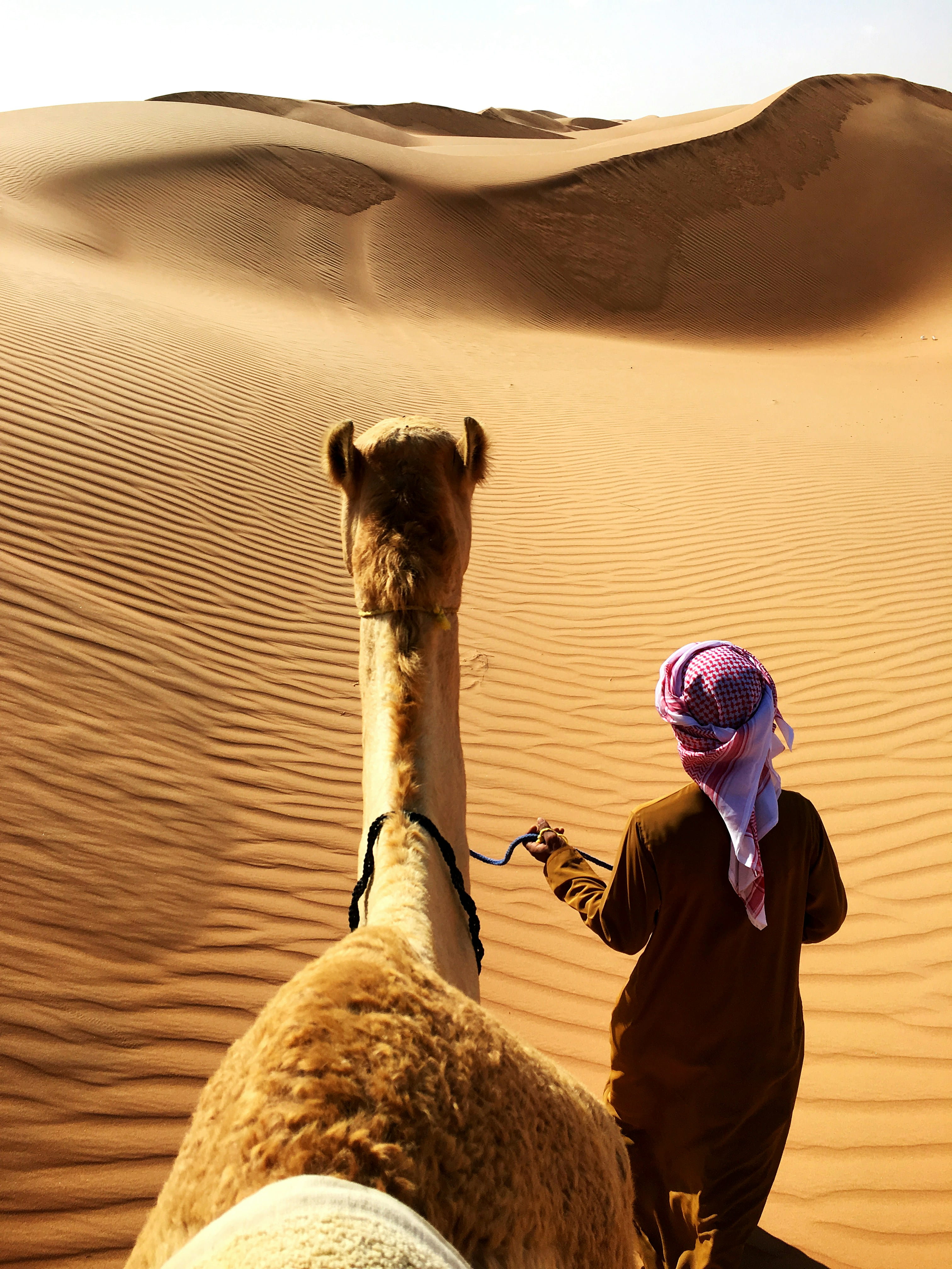 Wahiba Sands / Ras Al Jinz