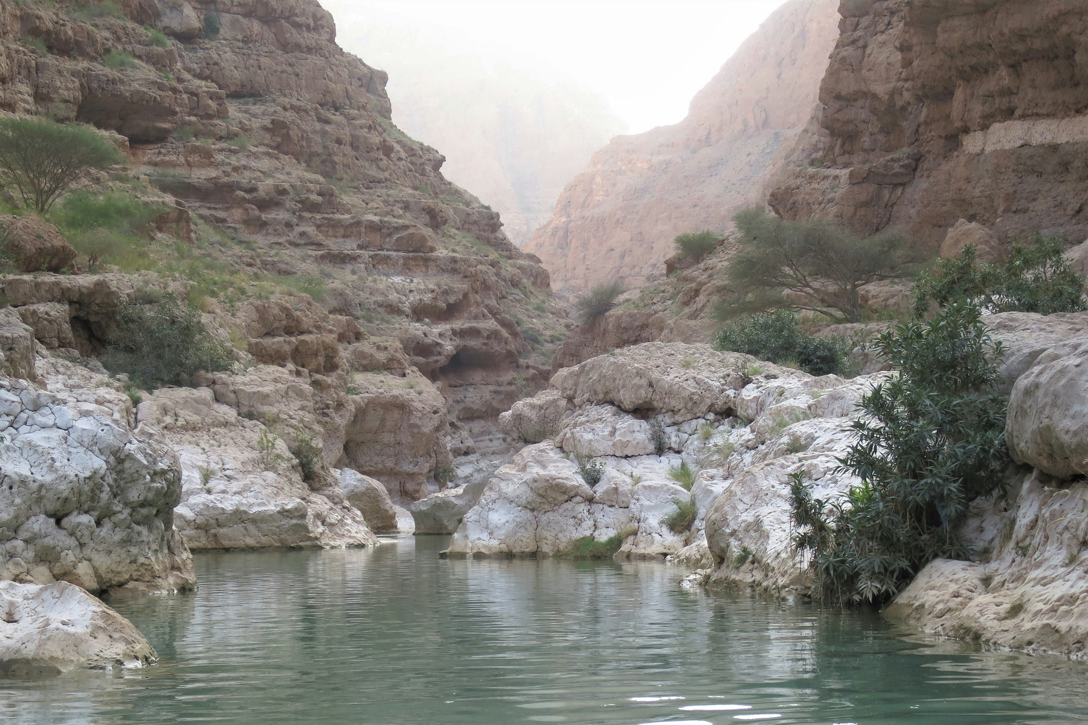 Ras al Jinz / Muscat / Dubái