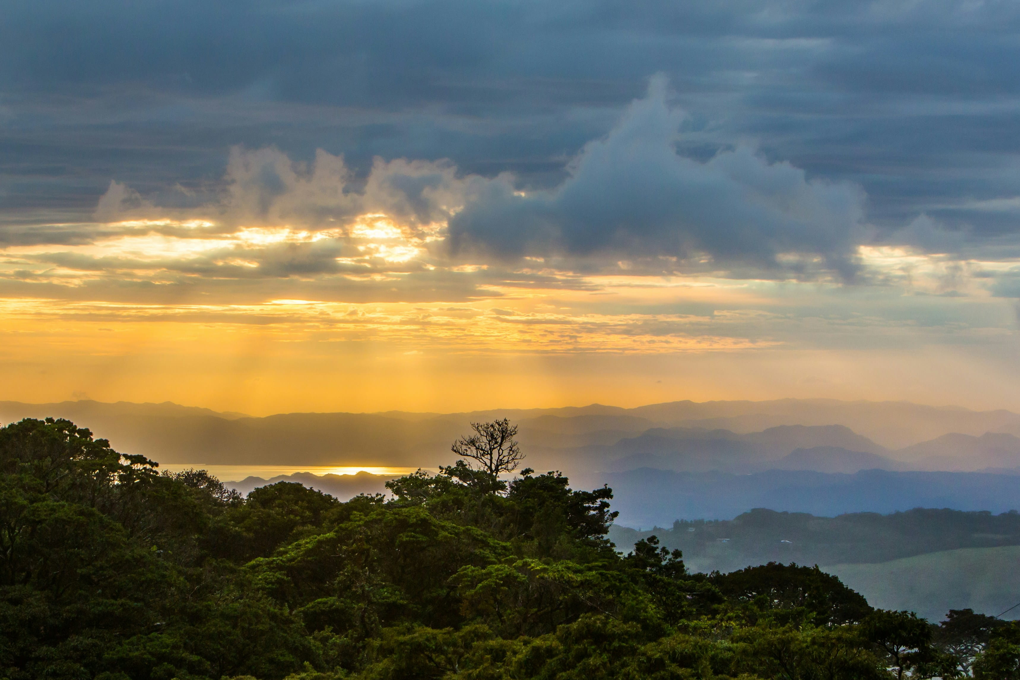 Monteverde