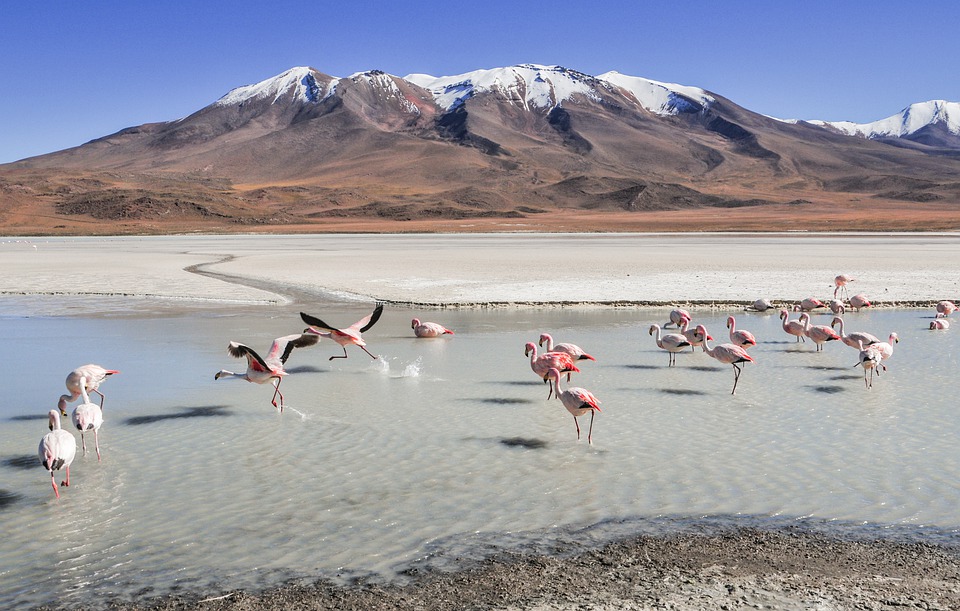 La Paz / Uyuni