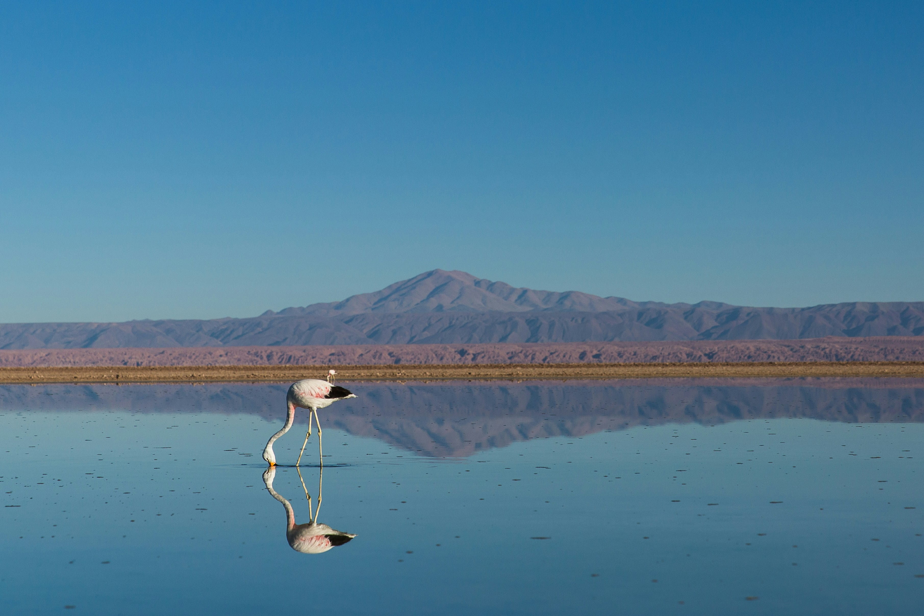 San Pedro de Atacama