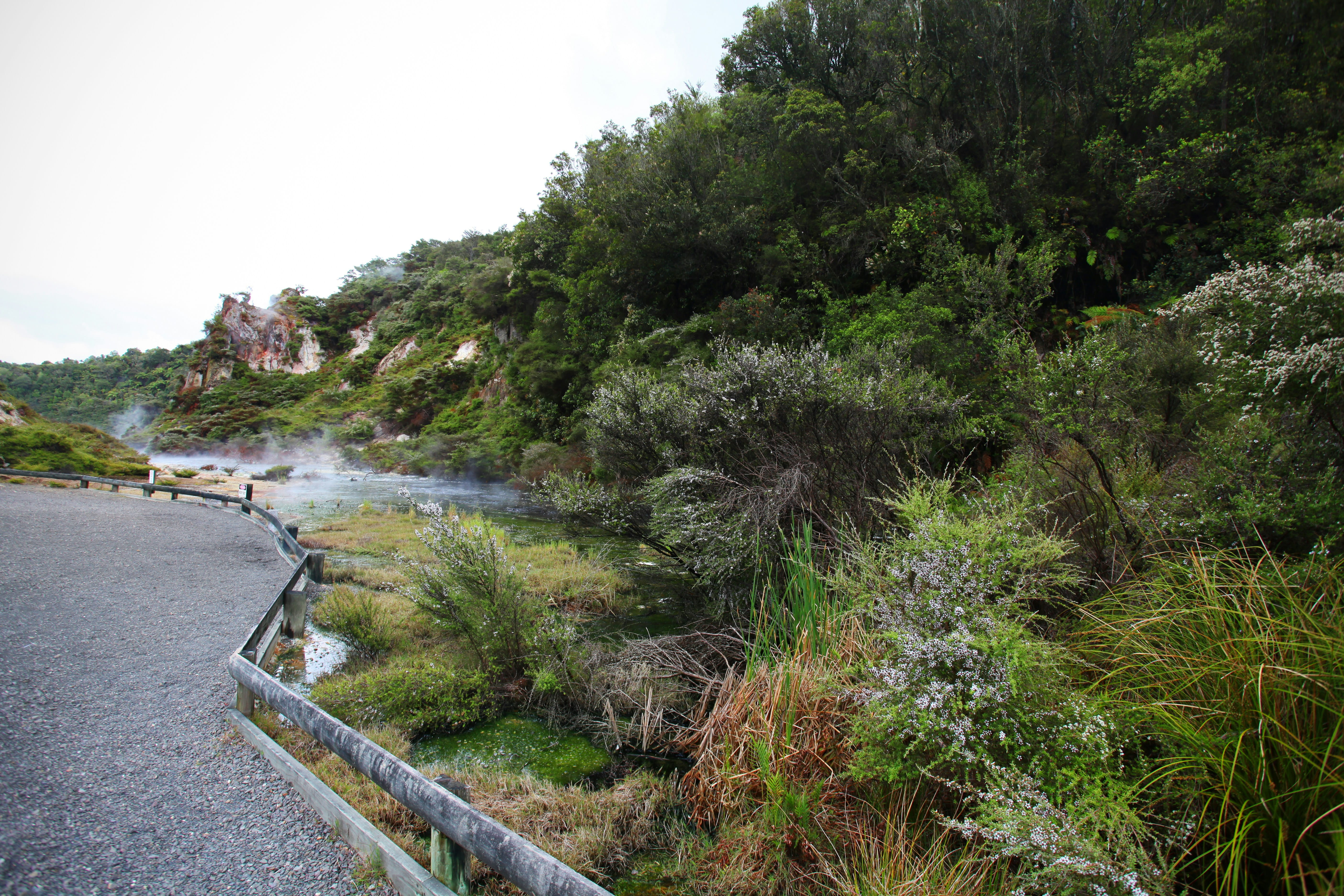 Rotorua / Christchurch