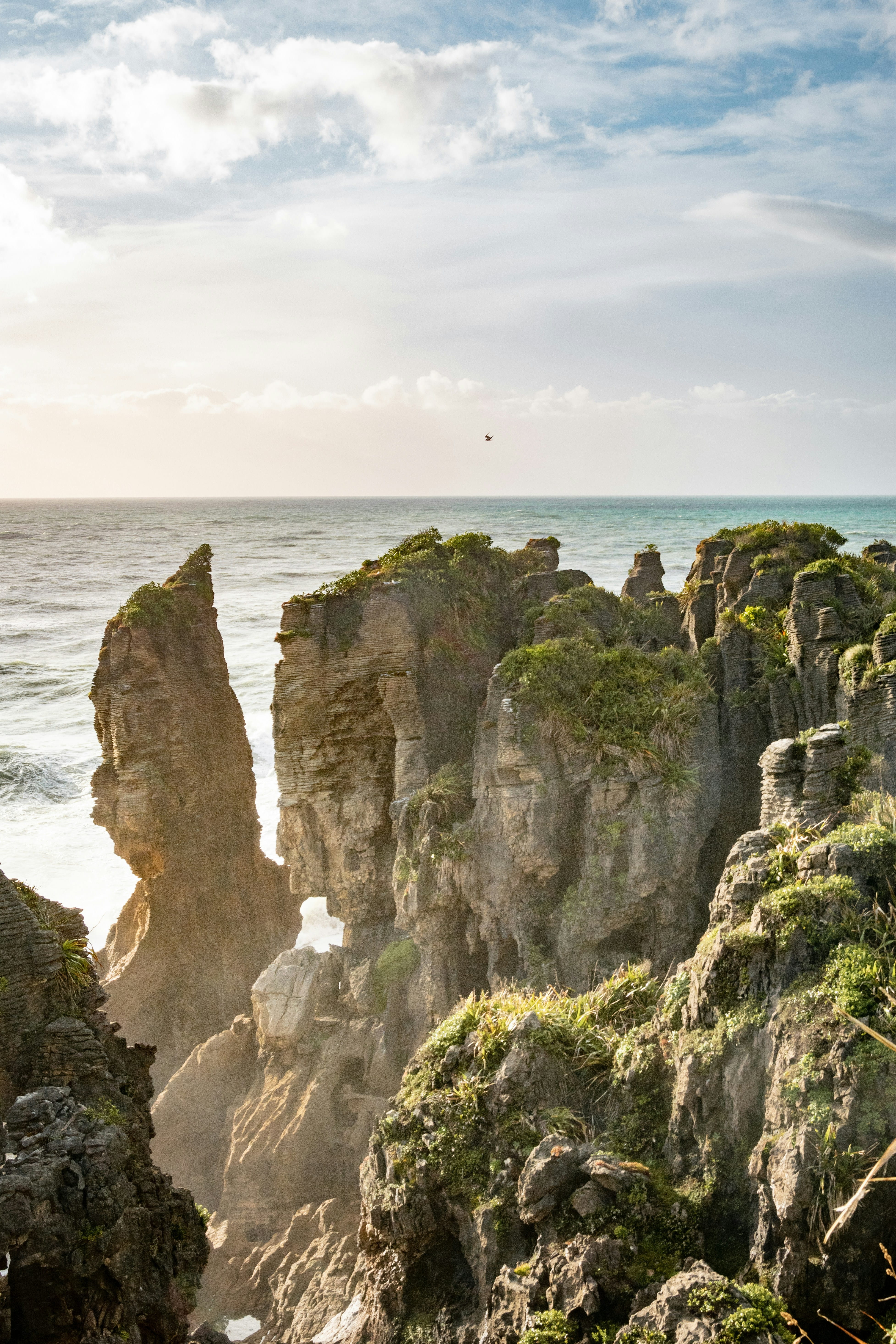 Nelson / Punakaiki