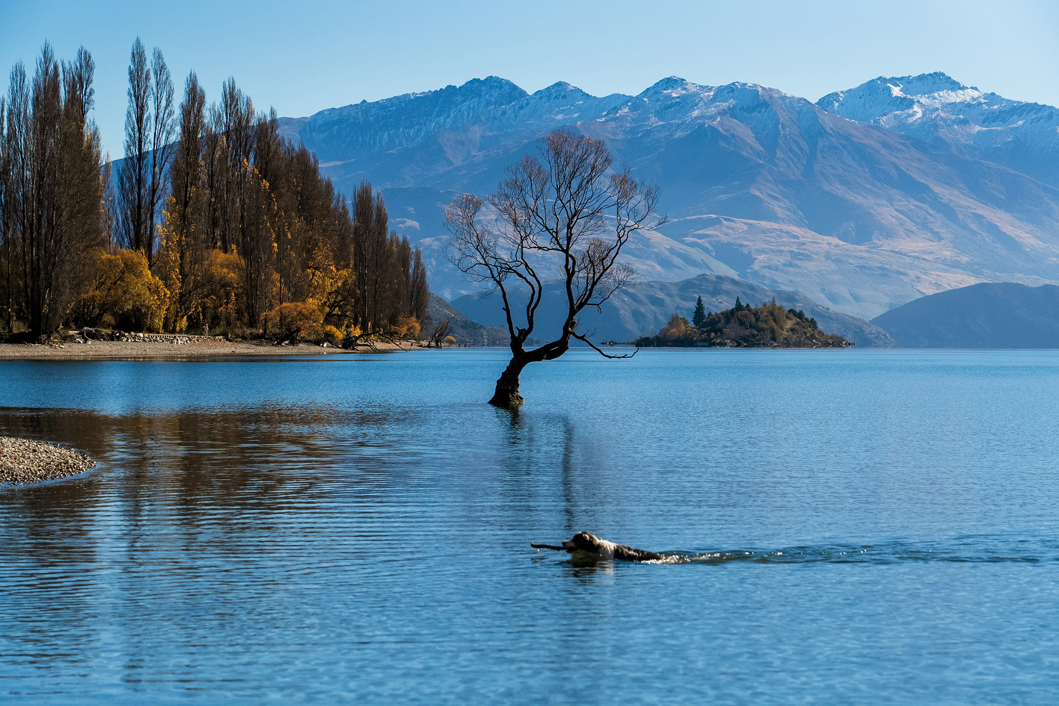 Franz Josef / Wanaka
