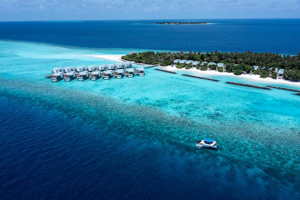 Hotel Dhigali Maldives (5*) Todo Incluido