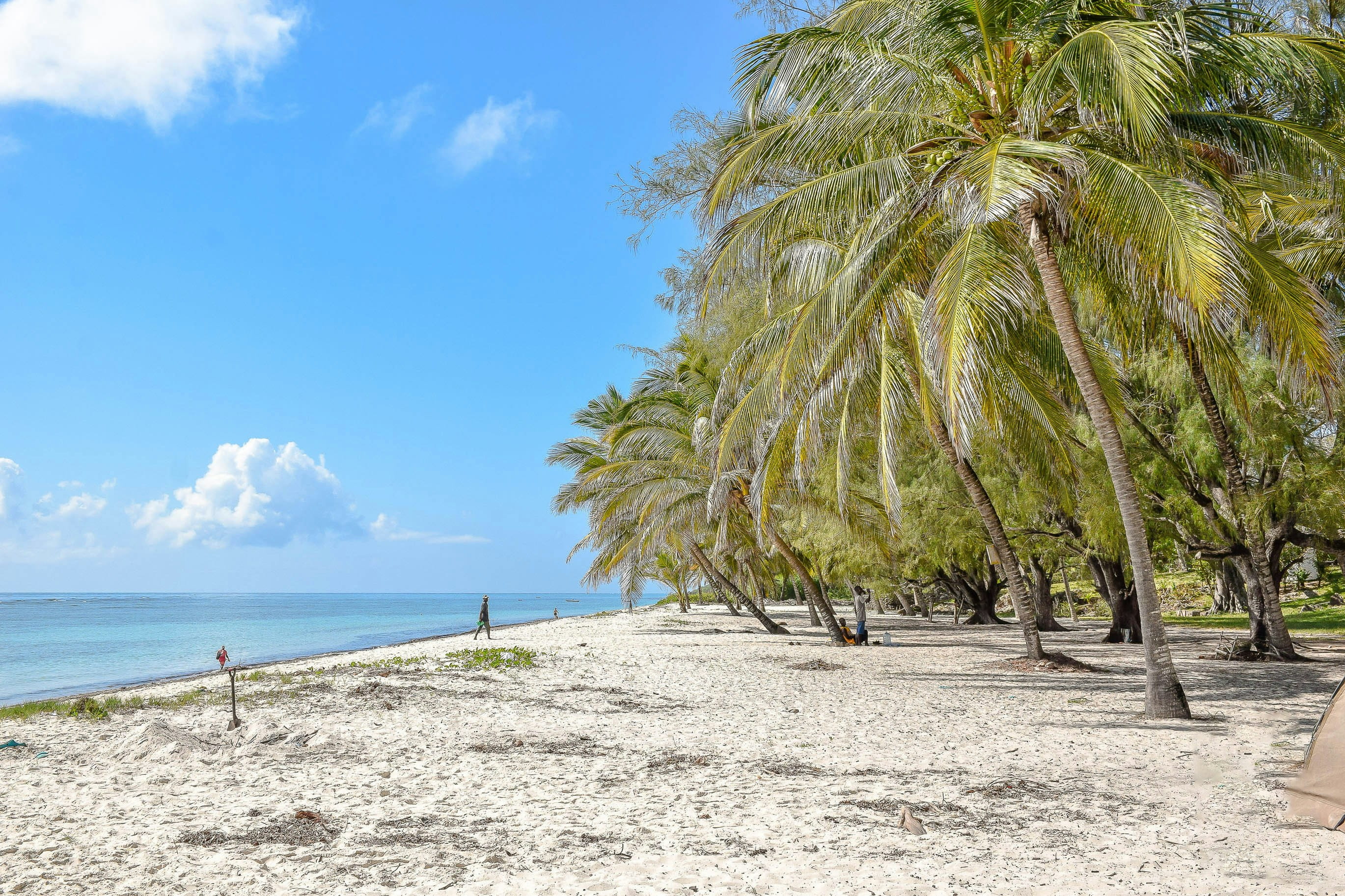 Mombasa / España