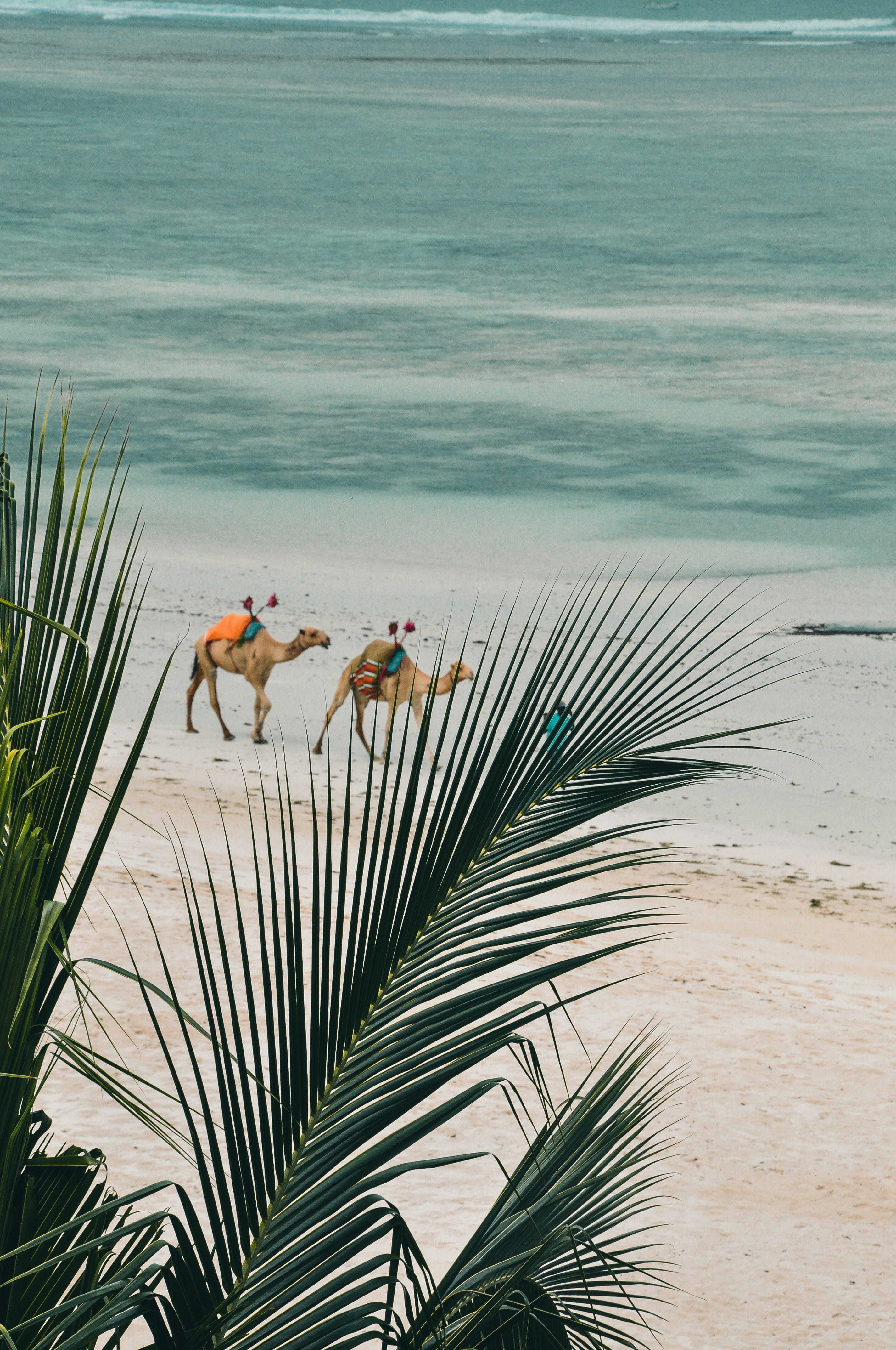 Mombasa / España