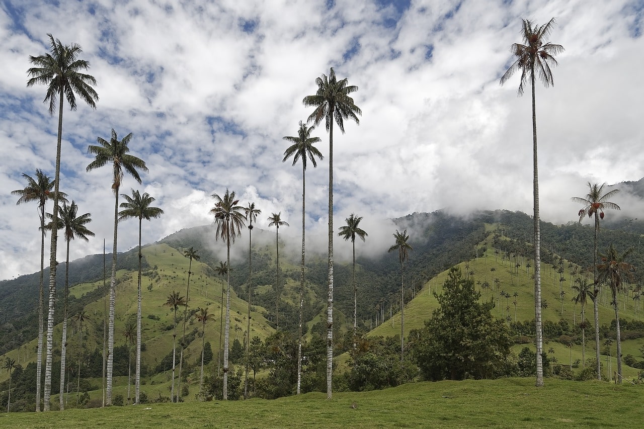 Colombia de los Andes al Caribe