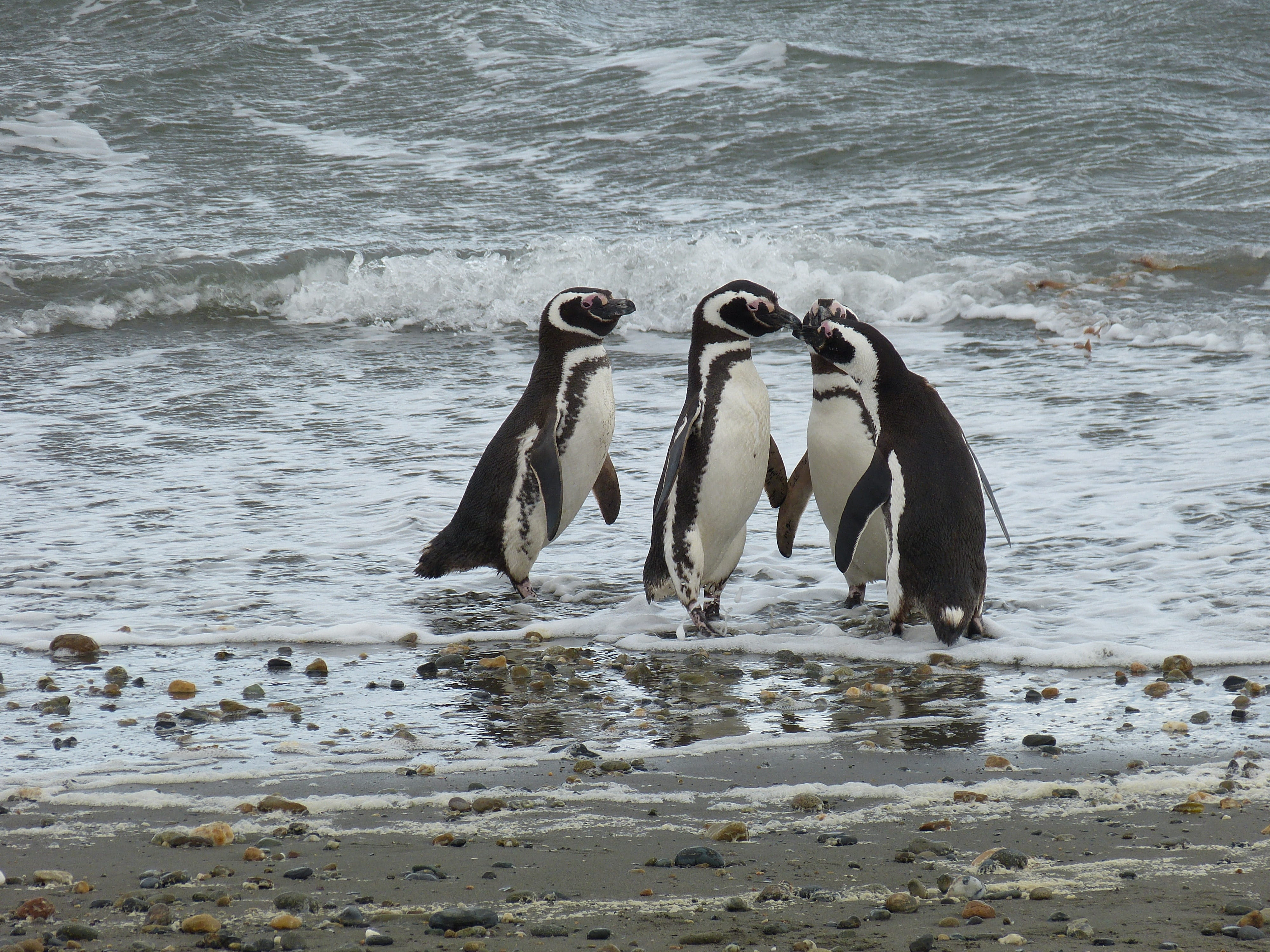 Santiago de Chile / Punta Arenas