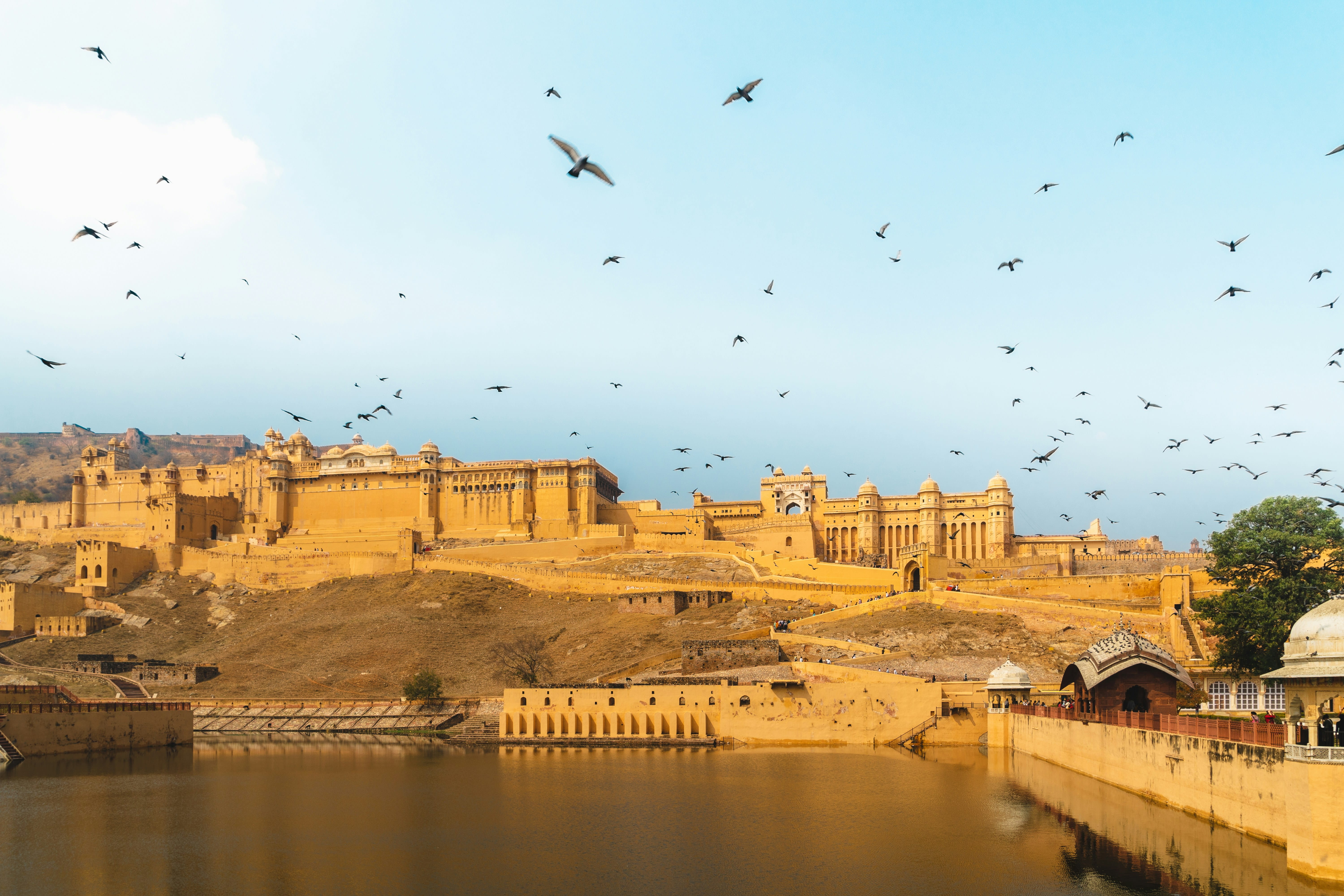 Jaipur / Delhi