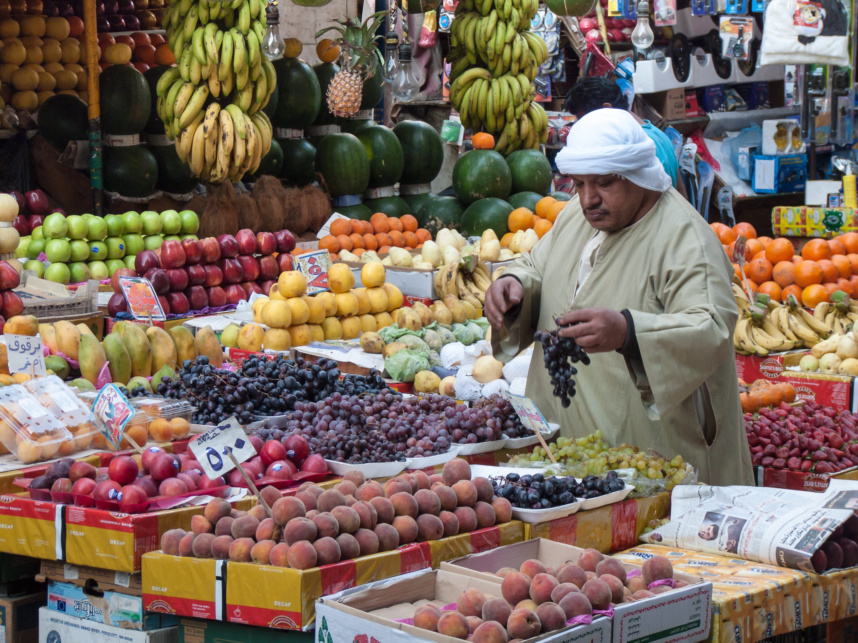 El Cairo / España