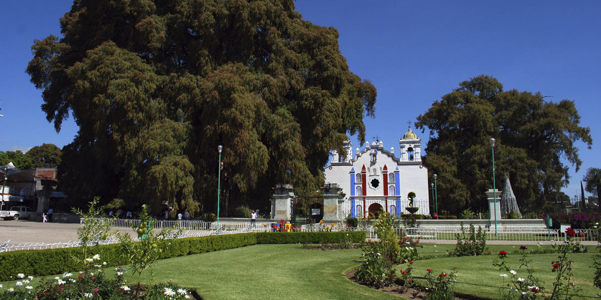 (Sa) OAXACA (Corazón Valles Centrales) / TEHUANTEPEC