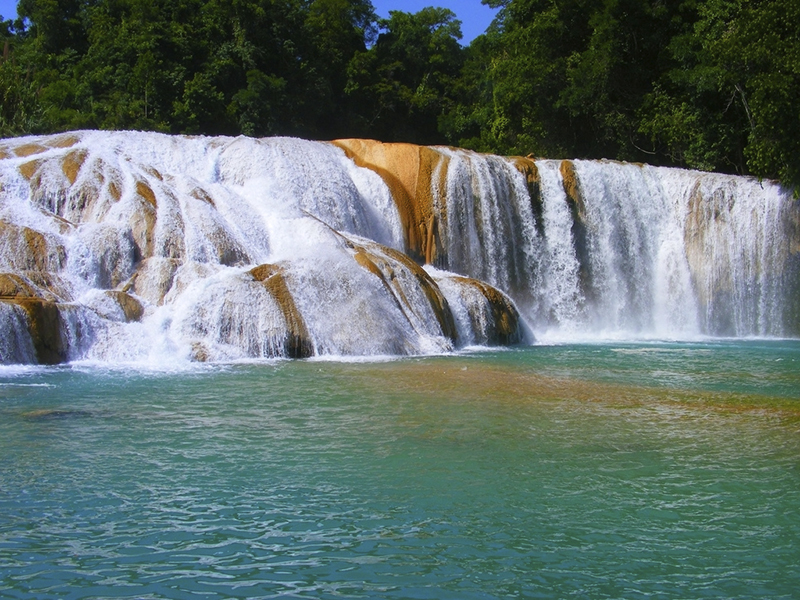 • Chiapas Naturalmente