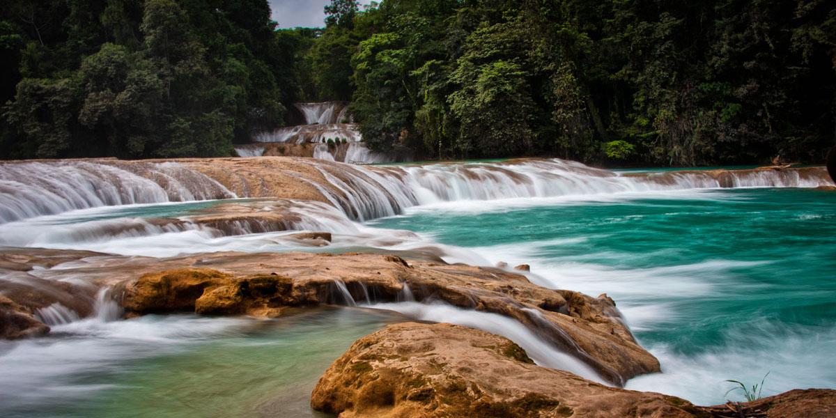 Chiapas Naturalmente
