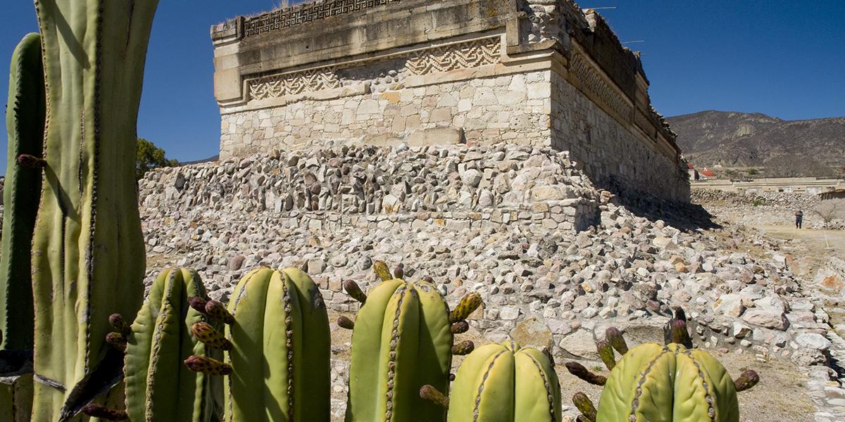• CDmx - Oaxaca - Chiapas - Yucatán - Caribe