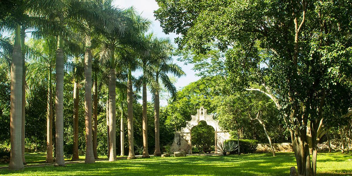 Cenotes y Pirámides