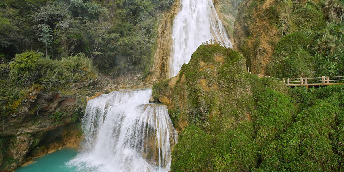 Belleza Lacandona