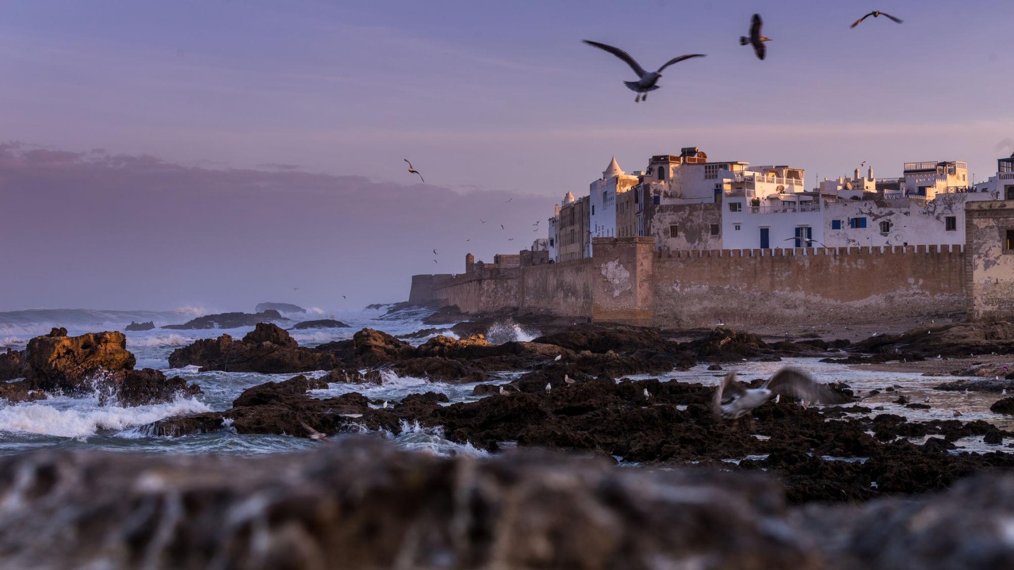 Jornada libre en Essaouira