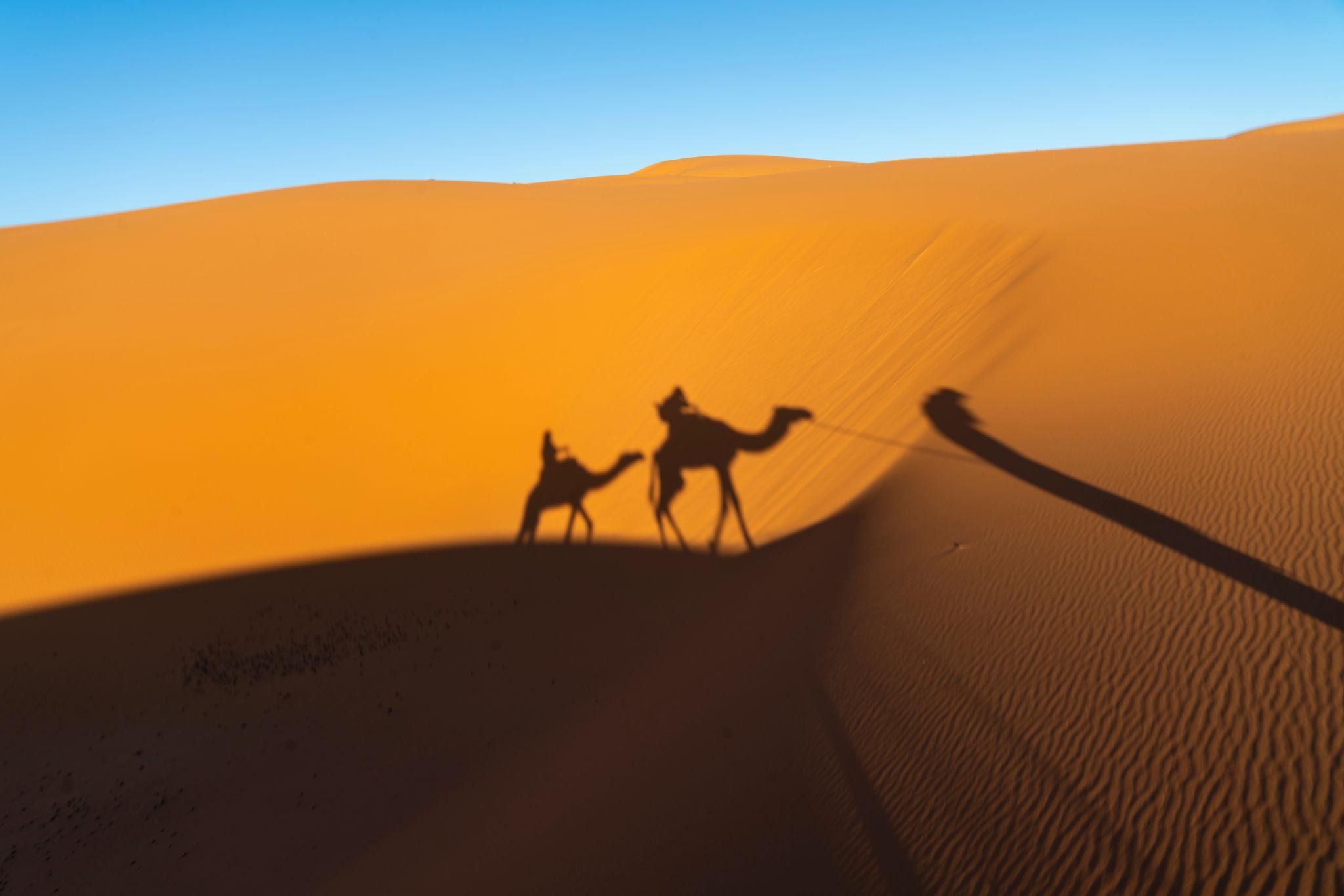 Gargantas y valle del Todra – Erfoud – Dunas de Merzouga