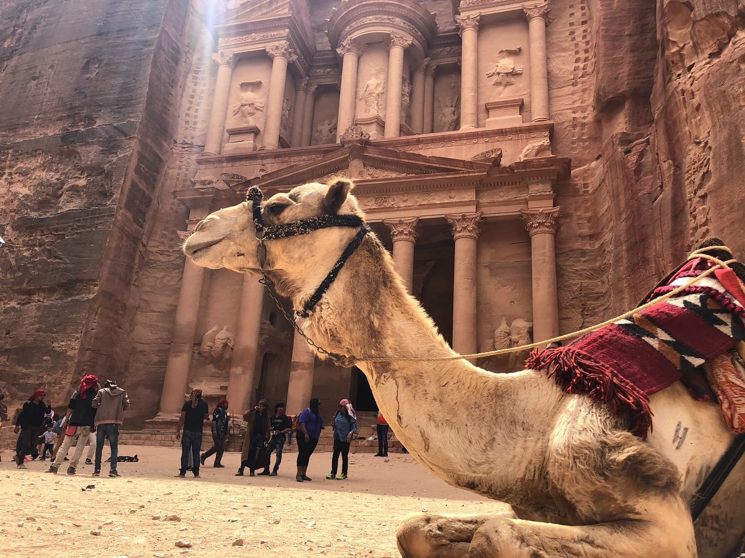 Circuito Jordania: Cultura y naturaleza