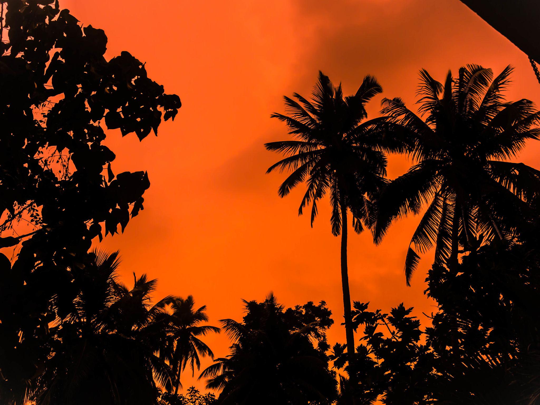 ¡Adiós Costa Rica!