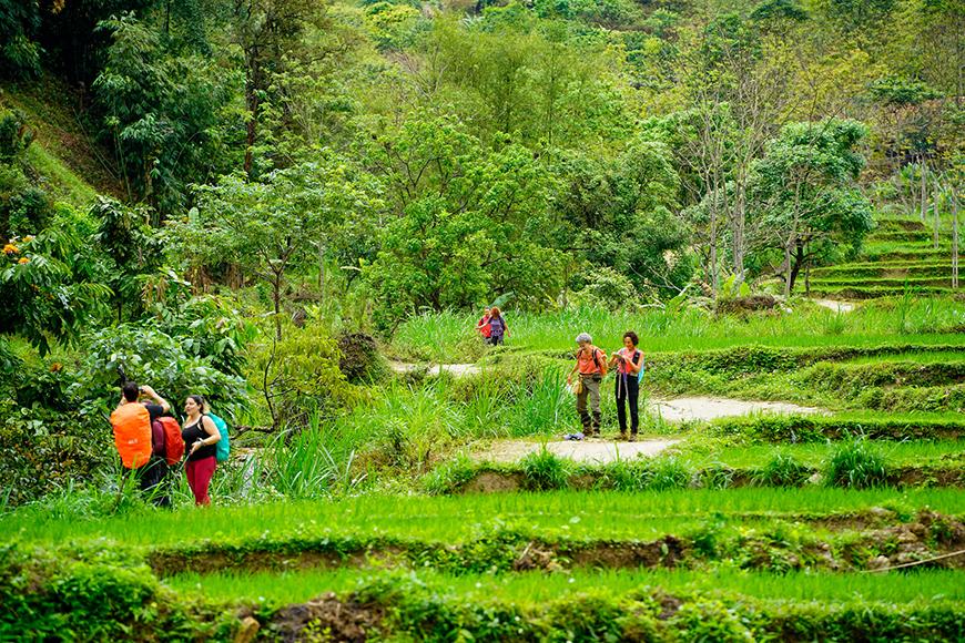 Caminatas por el entorno natural