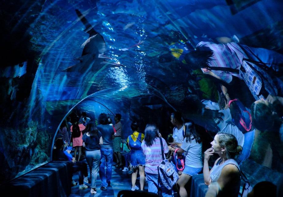 Bangkok: Centro de profesiones o acuario