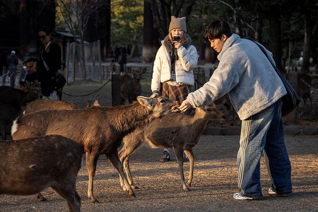 Excursión de un día a Nara