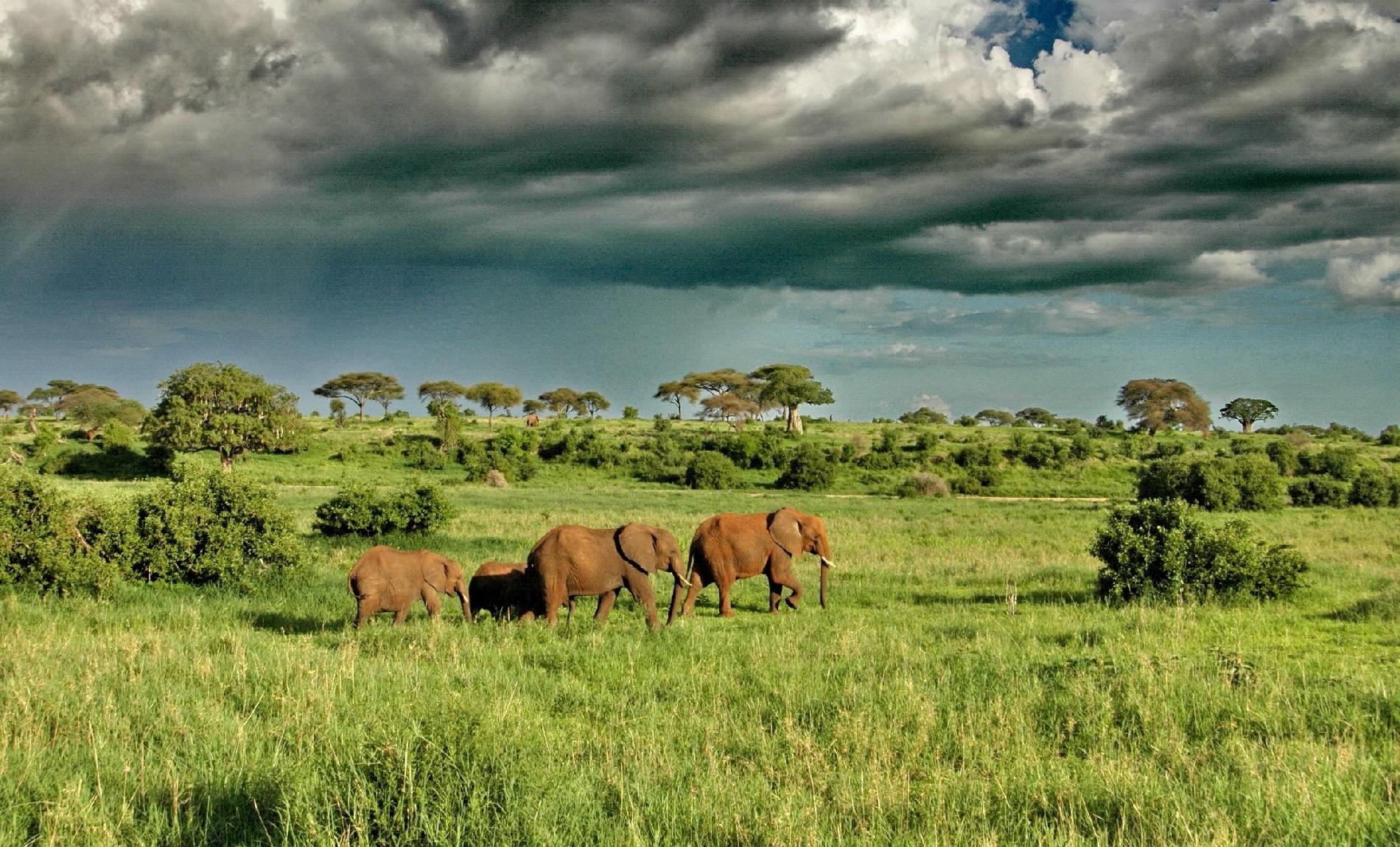 Viajes a Tanzania en Grupo. Safari Hakuna Matata