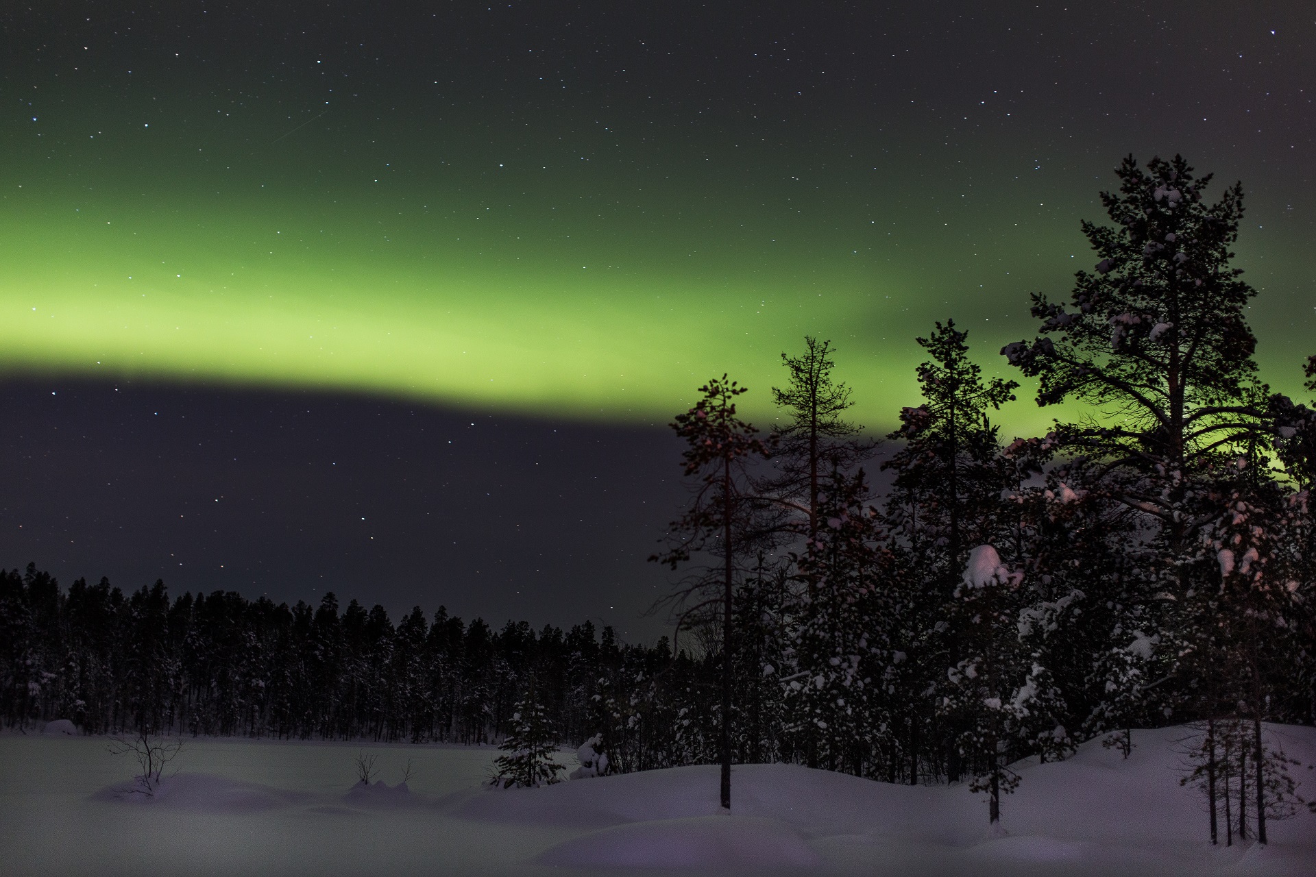 Visita a Papá Noël en Finlandia