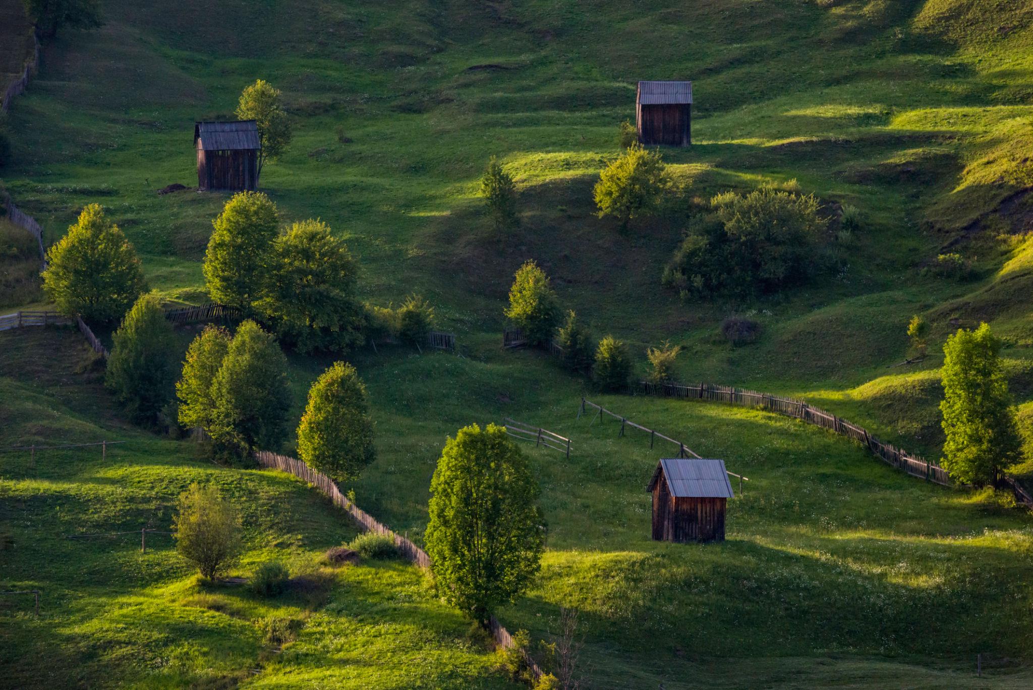 Sighisoara – Targu Mures – Gura Humorului