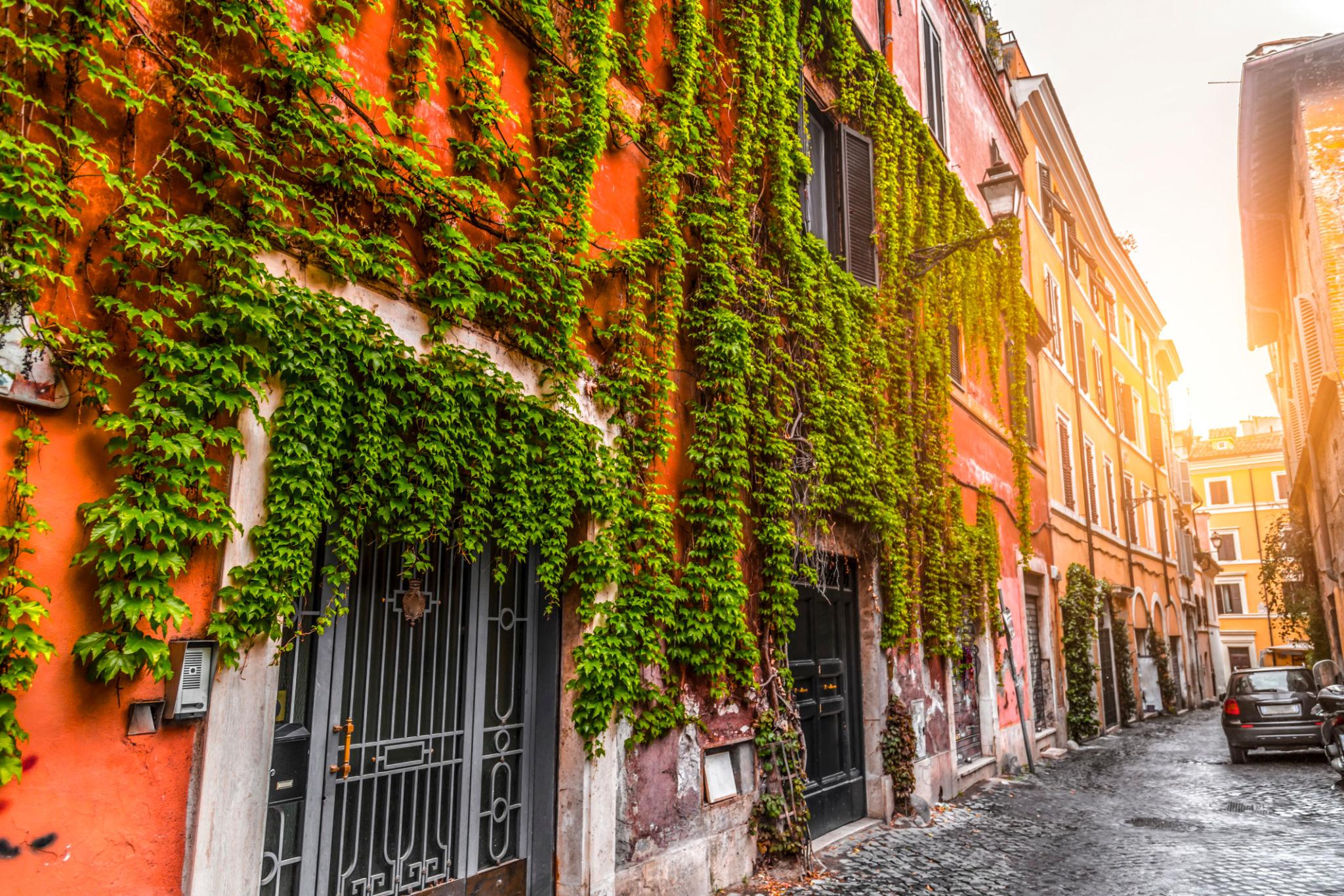 Roma