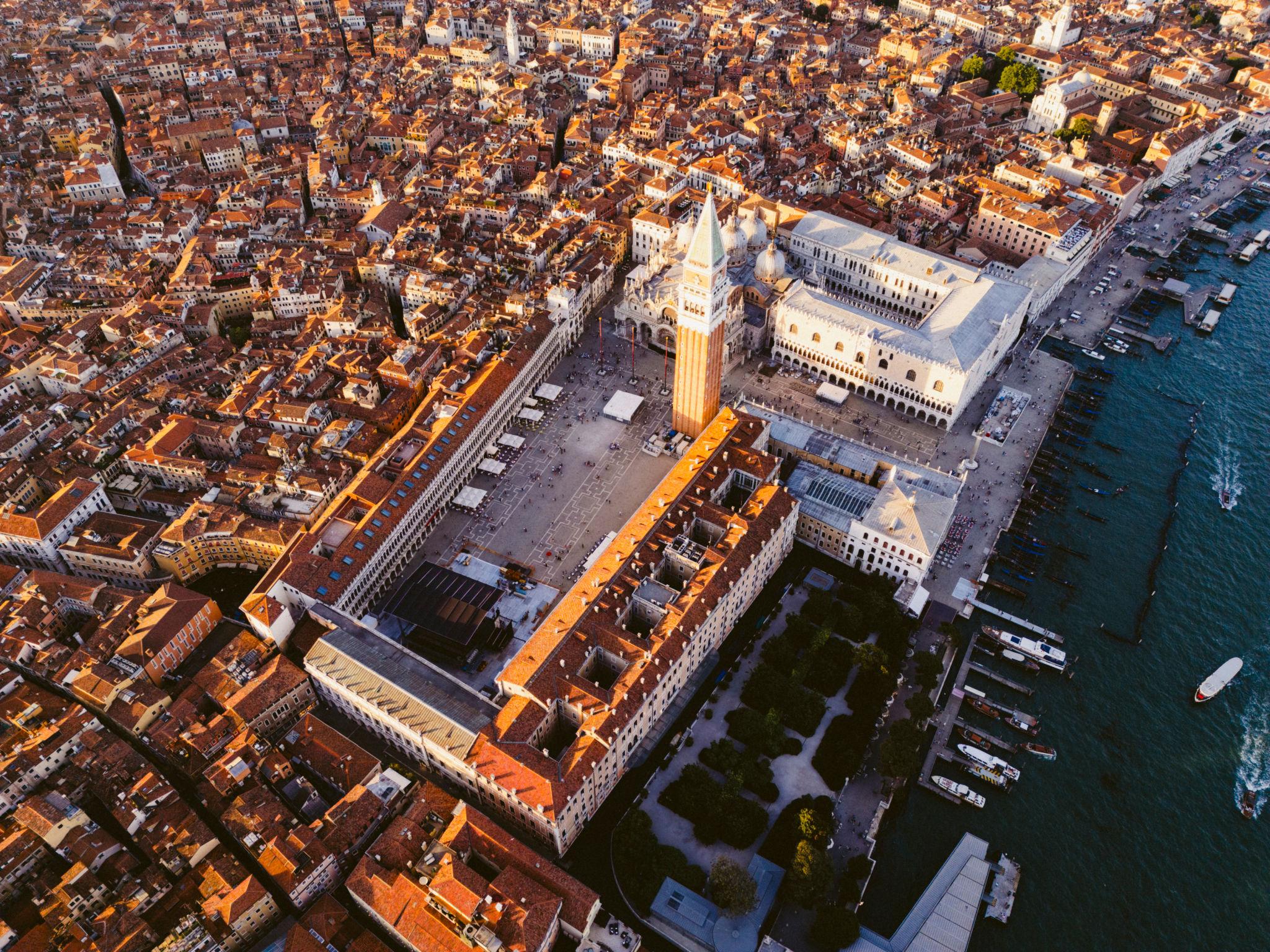 Venecia (D)