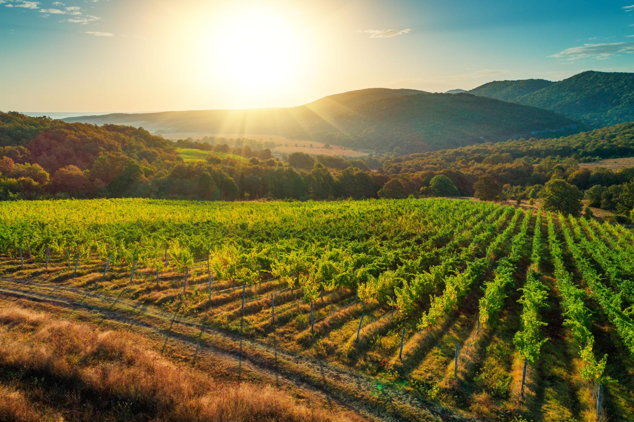 Viaje a Bulgaria la bella desconocida