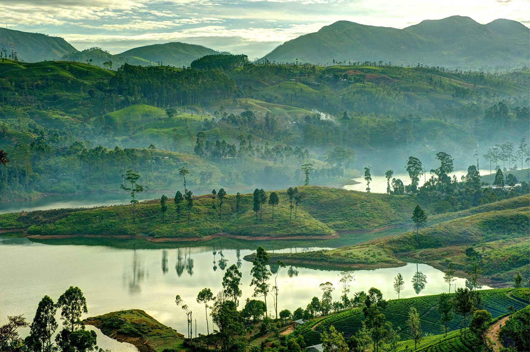 Luna de miel en Sri Lanka el romántico reino de Serendipia