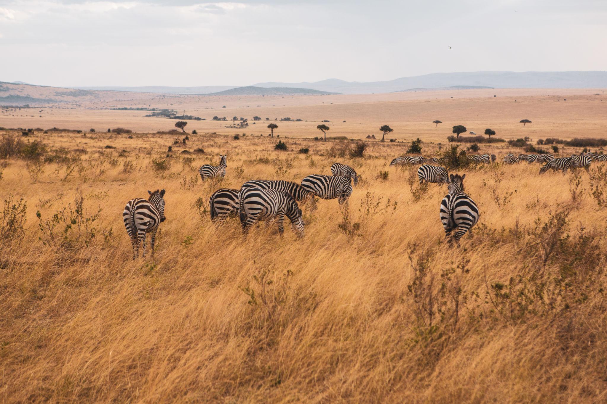 Reserva Nacional de Maasai Mara