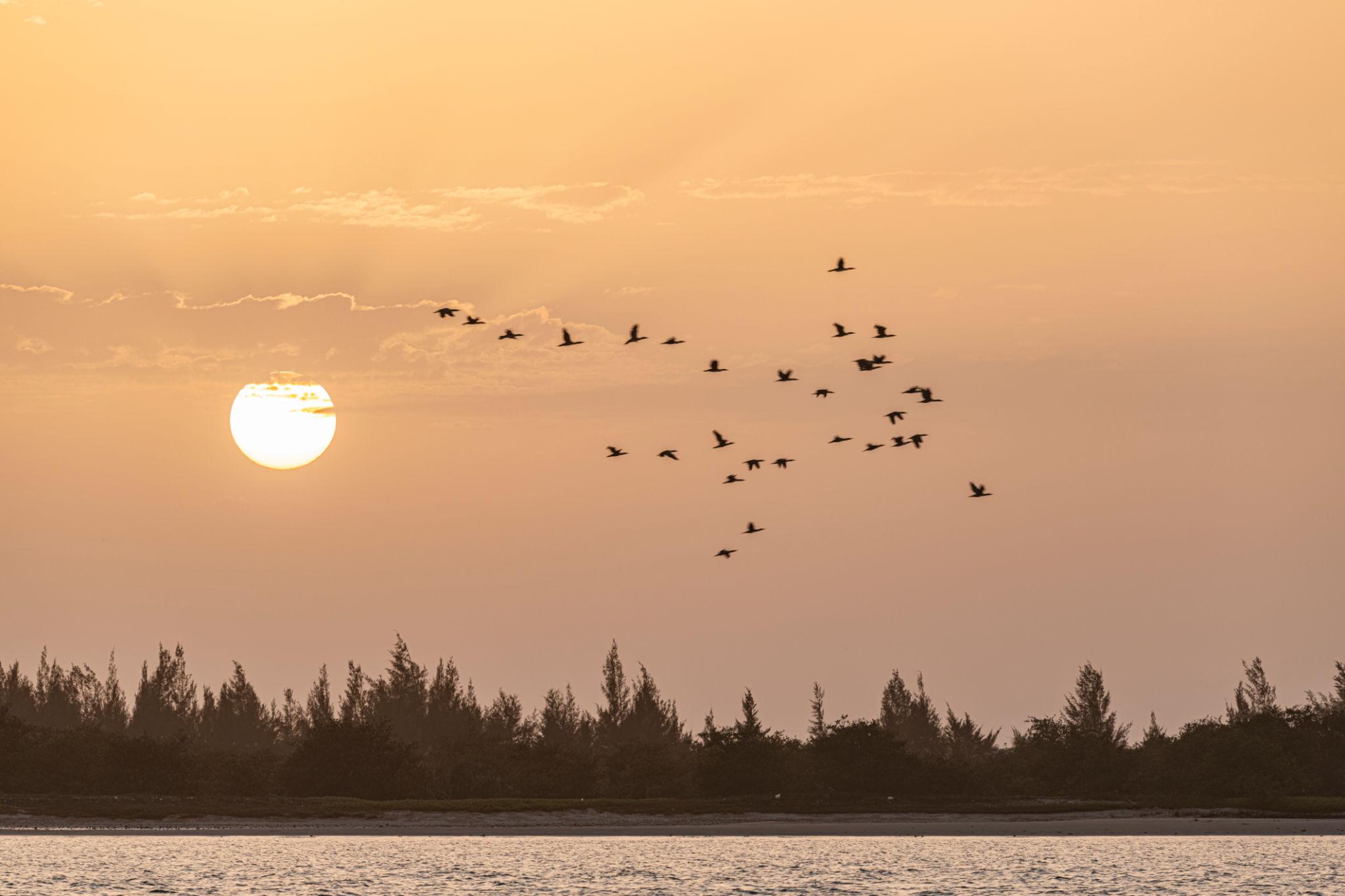 Ziguinchor y Sine Saloum