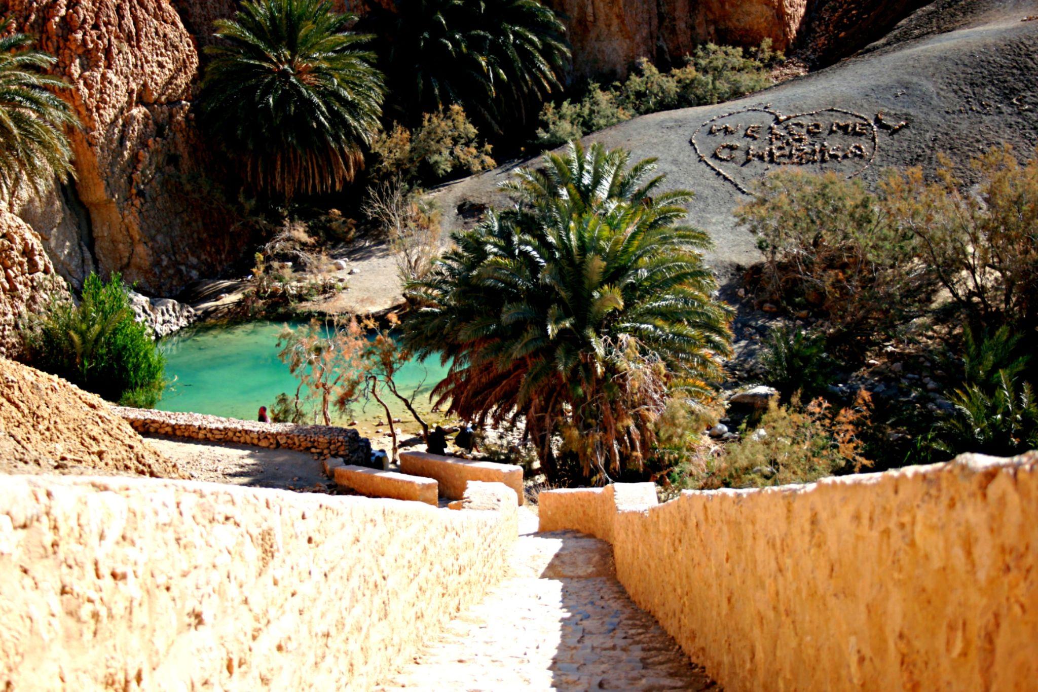 Túnez: vacaciones a medida Oasis y Jazmines