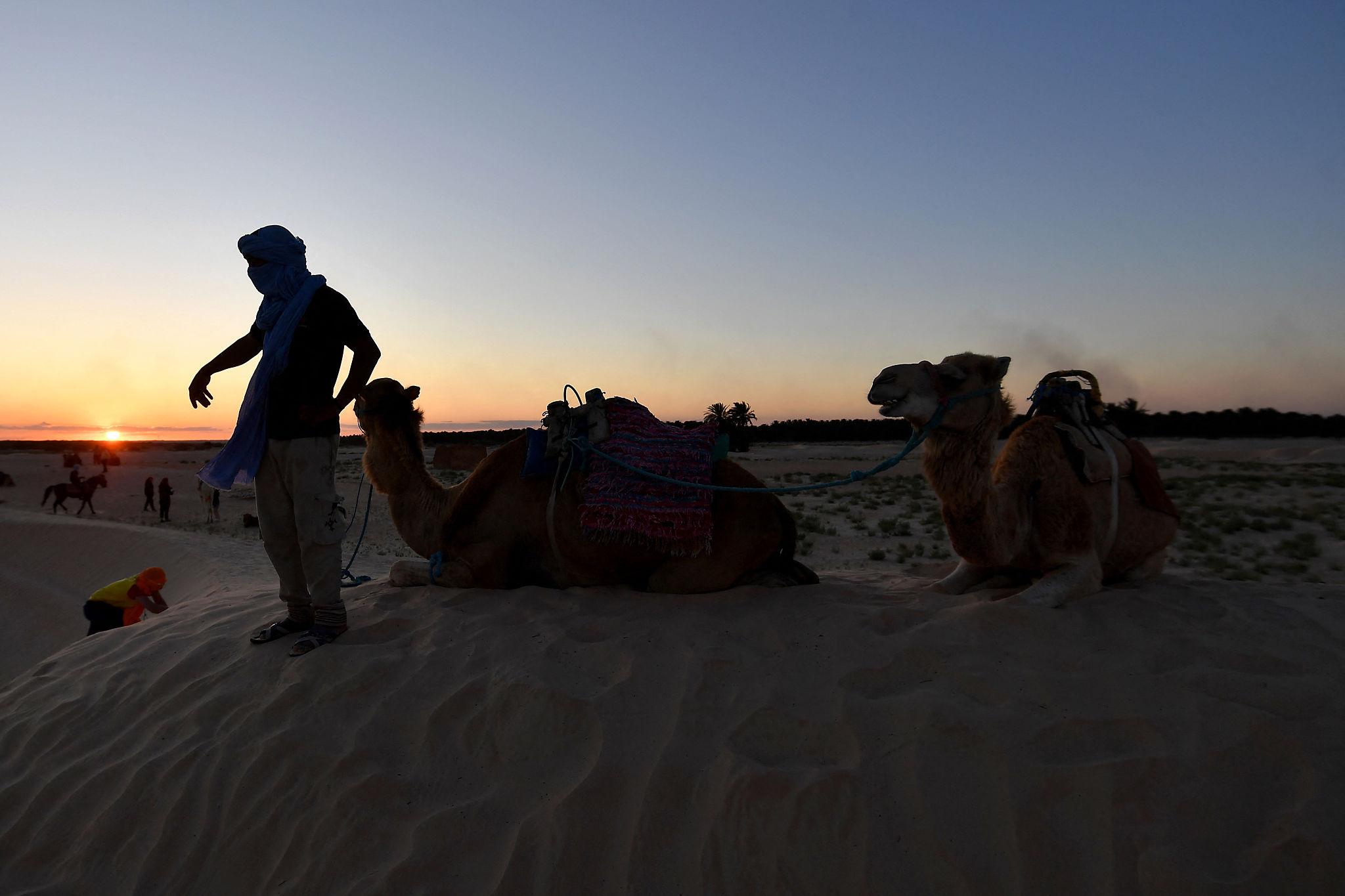 Hammamet → El Djem → Matmata → Douz