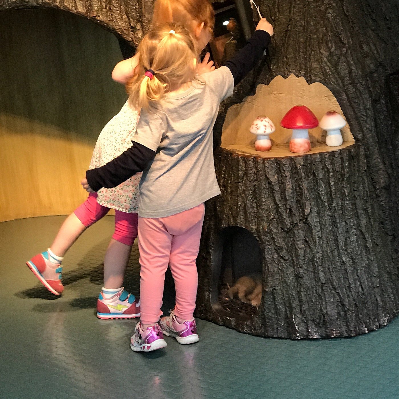 Viaje a Irlanda con niños Viajes en familia a medida