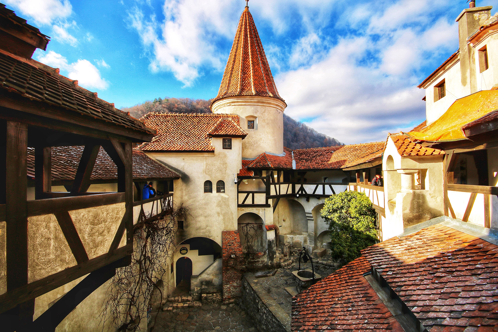 Rumanía: Tierra de Leyendas. Vive la magia medieval entre castillos, bosques y ciudades de ensueño