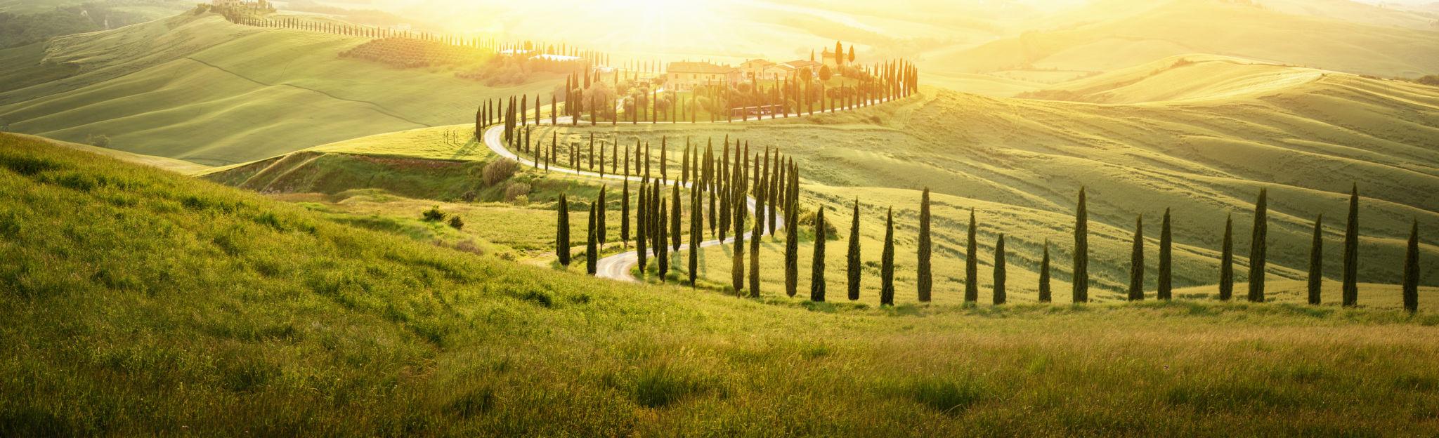 Venecia · Montepulciano -Toscana · Roma (D, A)