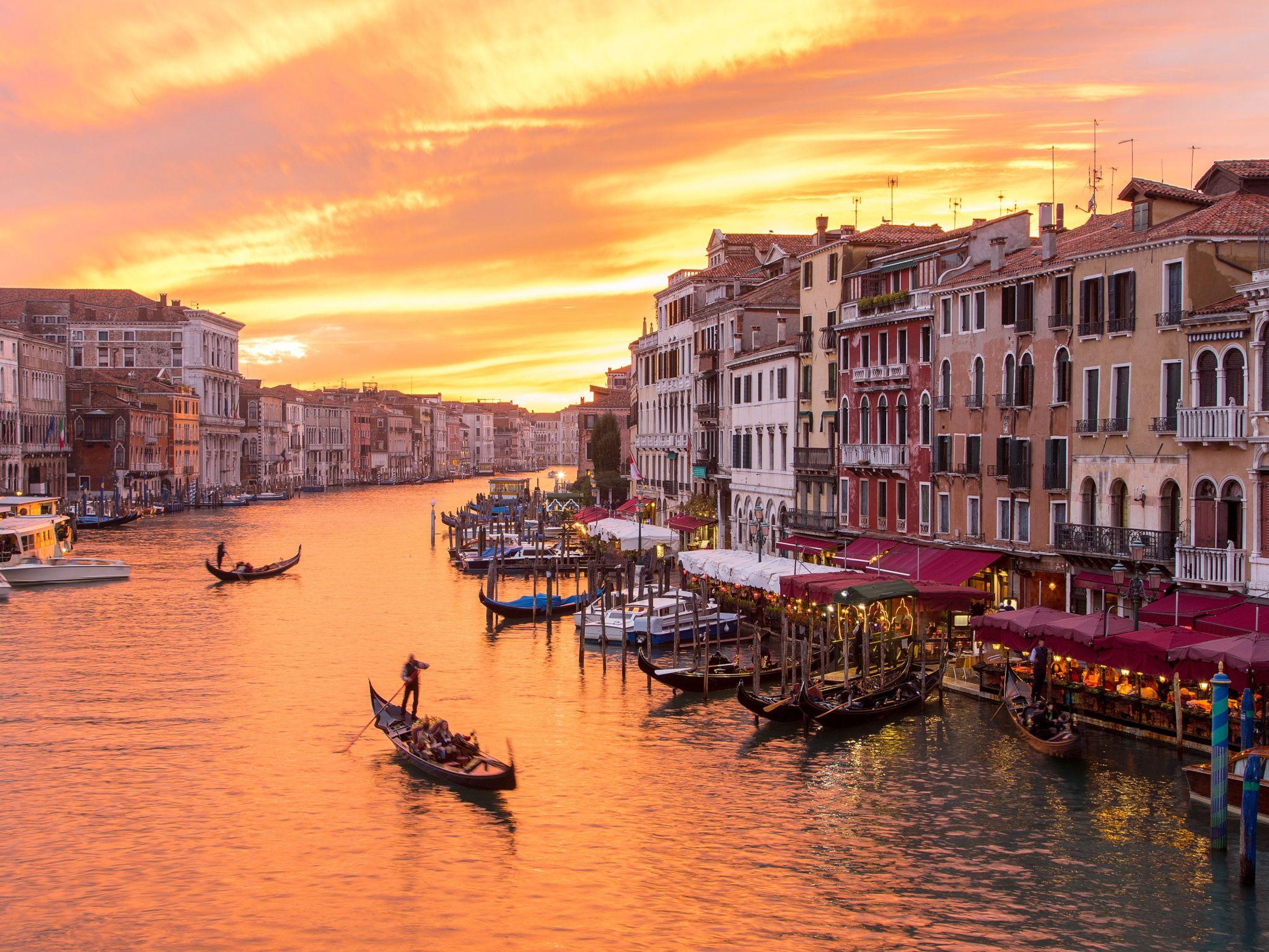 Venecia (D)