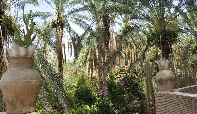 Túnez al Completo: Historia, Desierto y Cultura Mediterránea