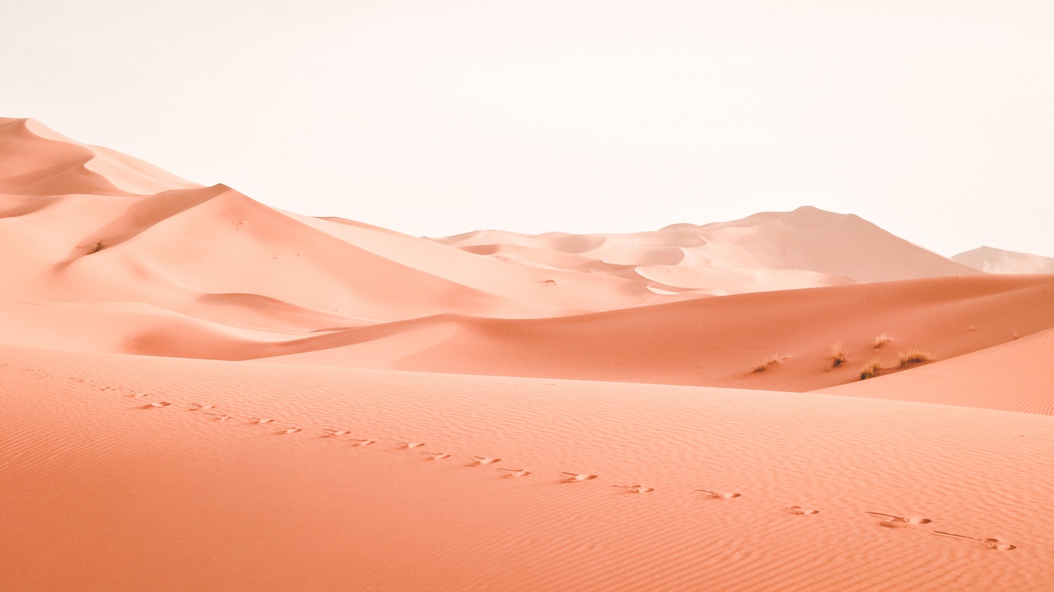 Ciudades Imperiales de Marruecos y Desierto: Cultura, Historia y Aventura